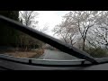 海津大崎の桜その2 20190414