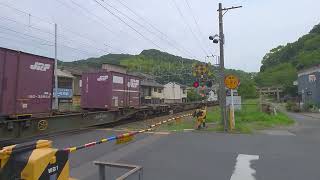 ちびっこ撮り鉄🌼山陽本線笠岡構内　貨物列車桃太郎EF210-6　踏切通過