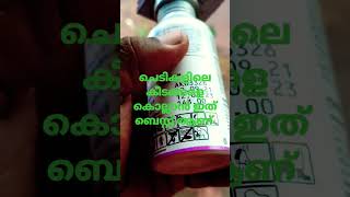 കീടങ്ങൾ ഇനി ഇല്ല അവനെ കൊന്നു plant care tip#shorts #rose #flowers #shorts #shortvideo #short #plants