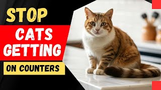How to Keep Cats off Counter Tops?