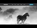 Create a Navigation Bar with Flexbox | Navbar CSS Tutorial