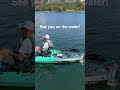 motorize your rudder in seconds