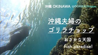 沖縄夫婦のゴリラチョップ　Okinawa couple gorilla chop