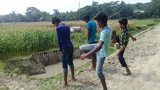 Must watch Best funny videos in 2019 _Ep_01 Funny video.mp4