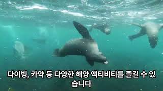 세계 50대 해변에 선정된 호주 해변 세곳