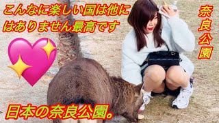 こんなに楽しい国は他にはありません : 最高です! 日本の奈良公園。🦌💖 Nara Park | Nara Deer Park 🦌in Japan