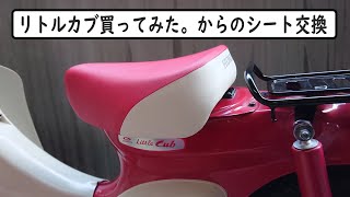 リトルカブ買ってみた。からのシート交換【リトルカブ  カスタム】