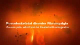 Lindsay Rosenwald | Treating Fibromialgia