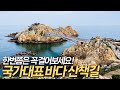 꼭 한번 걸어보세요! 출렁다리와 해안 절경을 동시에 즐기는 국가대표 바다 산책 코스  | 대중교통 국내여행 | 당일치기 여행 | 울산