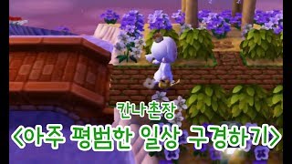 [칸나촌장] 무편집!! 평소 튀동숲 플레이하는 모습을 보여드립니다.