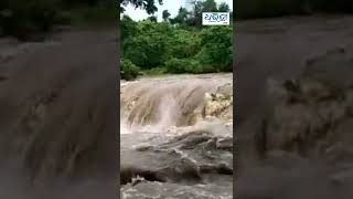 ବର୍ଷାରେ ବୁଡ଼ିଗଲା ଶିବ ମନ୍ଦିର | #dharitrilive #shorts #sivatemple #sundargarh #flood