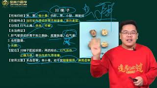 中药师（二）06、消食药、驱虫药、止血药(2022)学习课程｜隋文帝太医药房的草药师