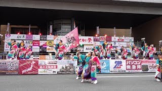 Rey華繚乱 @ 御食国若狭おばまYOSAKOI祭 (食文化館メイン演舞場) 2019-09-22T15:03