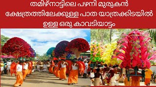 kaavadiyattam||തമിഴ്നാട്ടിലെ പഴനി മുരുകൻ ക്ഷേത്രത്തിലേക്കുള്ള പാത യാത്രക്കിടയിൽ ഉള്ള ഒരു കാവടിയാട്ടം