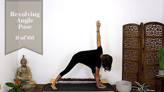 Revolving Lateral Angle Pose - Parivrtta Parsvakonasana 6 of 66