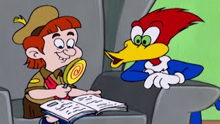 Woody the Babysitter | Woody Woodpecker