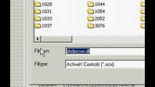 Web browser error fix! (Visual Basic 6..0)