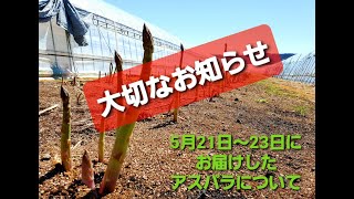 お届けしたアスパラガスについて・品質に関するお話【中富良野町・寺坂農園・農チューバー・産地直送・春の味覚】