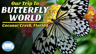 Butterfly World Coconut Creek, Florida| 20,000 Butterflies in a Walkthrough Aviary| Bug Zoo| Birds!