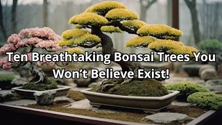 Top 10 Most Beautiful Bonsai Trees – Stunning Miniature Masterpieces!