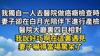 我獨自一人去醫院做癌癥檢查時，妻子卻在白月光陪伴下進行產檢，醫院大廳裏四目相對，我說好巧啊在這裡遇見，妻子嚇得當場驚呆了【清風與你】#激情故事#大彬情感#夢雅故事#一口氣看完#小說