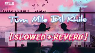 Tum Mile Dil Khile [ Slowed + Reverb ] | Tum Mile Dil khile Lofi | Music World Slowed + Reverb