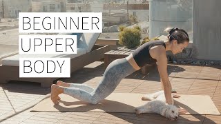 BEGINNER UPPER BODY WORKOUT - Foundational exercises, form cues, no equipment | Dr. LA Thoma Gustin