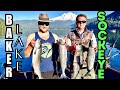 Baker Lake Sockeye Salmon July 8, 2024