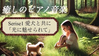 【Serise1 愛犬と共に】「光に魅せられて」