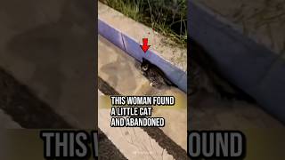 This woman found a little cat and abandoned