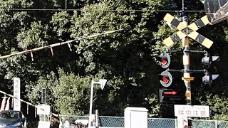 【踏切】静岡鉄道　遮断かんベルトが短い踏切 (Railroad crossing in Japan)