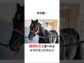 コントレイルの面白い雑学 競馬