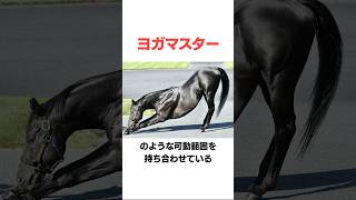 コントレイルの面白い雑学#競馬