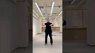 Wudang TaiChi   武当太极9式