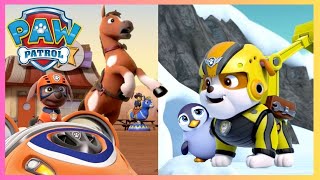 Animal Rescues! - PAW Patrol - Cartoons for Kids