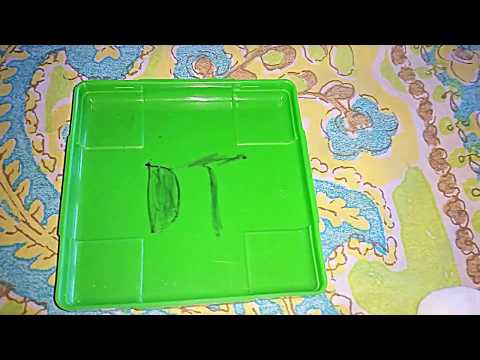 Remove Permanent Marker From Plastic With Nail Polish Remover Remove Permanent Marker From Plastic With Nail Polish Remover