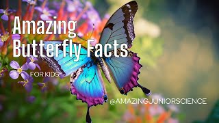 Amazing Facts About Butterflies for kids!