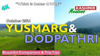 Dodpathri \u0026 Yusmarg Kashmir 2024 Comparison | Kashmir Tour tips | Kashmir beautiful places October