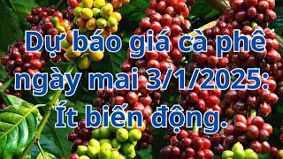 Dự báo giá cà phê ngày mai 3/1/2025: Ít biến động.