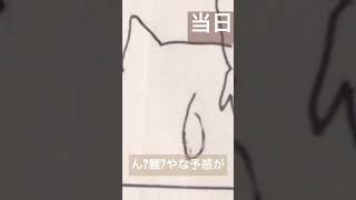 四コマ漫画の第十三「こいにおとす」【絵歌曲イラストギャグかわかわ】【ポジティボーイ】