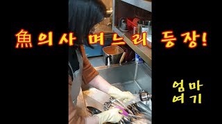 [엄마여기] 魚의사 며느리 등장! (feat. 고등어)