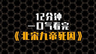 12分钟一口气看完北宋9位皇帝的死亡原因与功过是非 #历史 #宋朝 #北宋 #涨知识