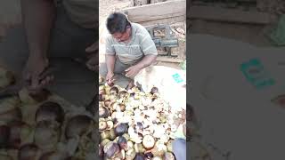 రోజుకు 5 వేలు😍 Amazing Palm Fruit Cutting Skills