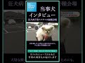 「接種前の気持ちは？」犬の予防ワクチン接種会場で当事犬インタビュー。 かごしま shorts 犬