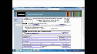 5500 for First Time Filers