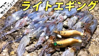 ライトエギングがシーズンイン！ヒイカ釣りを楽しもう♬