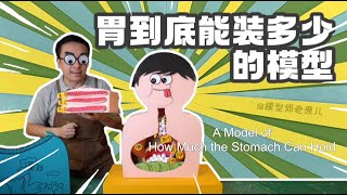 胃到底能装多少的模型A Model of How Much the Stomach Can Hold