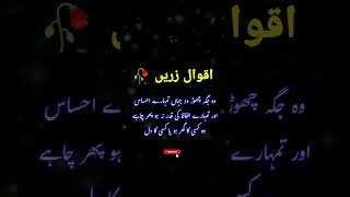Aqwal e zareen in Urdu#aqwalezareen #quotes