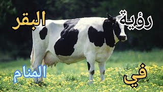 بدأت قناة \