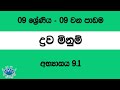 Liquid Measurements | ද්‍රව මිනුම් - 09 වන ශ්‍රේණිය (09 වන පාඩම) 4. අභ්‍යාසය 9.1